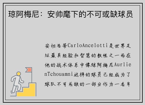 琼阿梅尼：安帅麾下的不可或缺球员