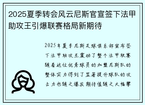 2025夏季转会风云尼斯官宣签下法甲助攻王引爆联赛格局新期待